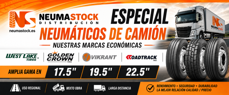 Neumáticos de camión económicos